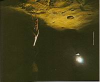 Dessine moi un mammouth, Sciences & Avenir 781, mars 2012 (2b)